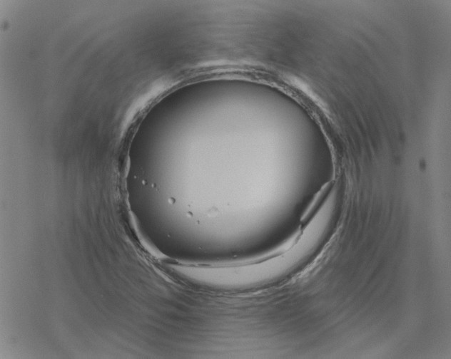 X0000076401357200610271607