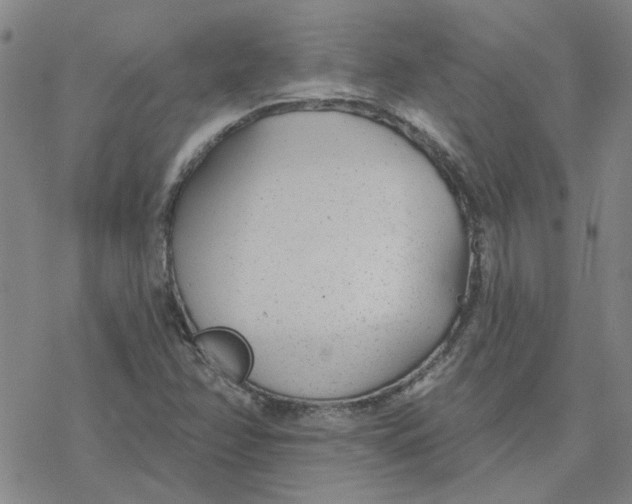 X0000076401358200610271607