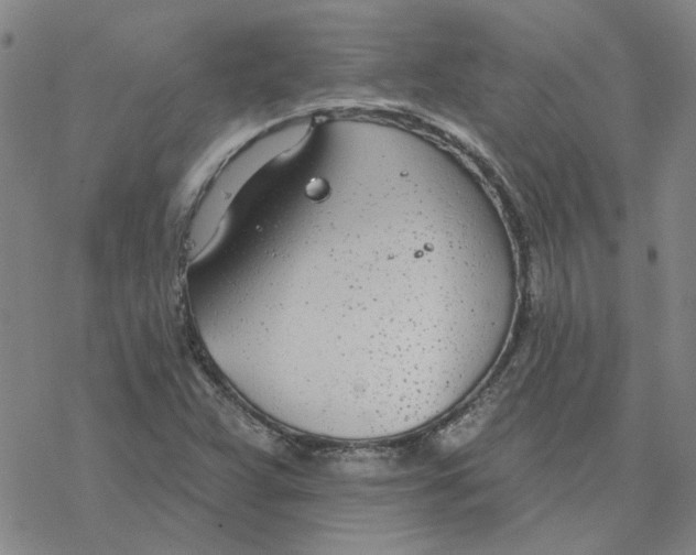 X0000076401359200610271607