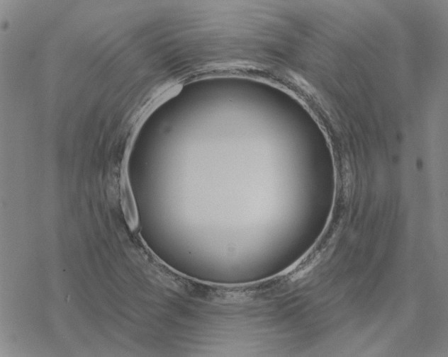 X0000076401361200610271607