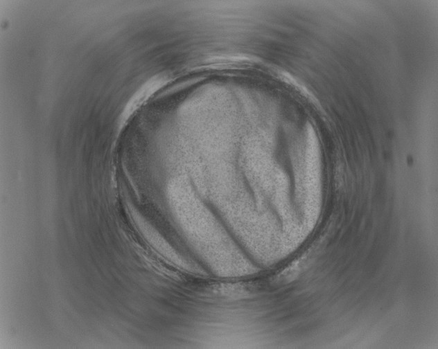 X0000076401362200610271607