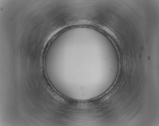 X0000076401364200610271607