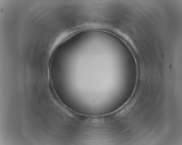 X0000076401365200610271607