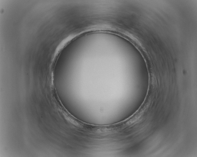 X0000076401366200610271607