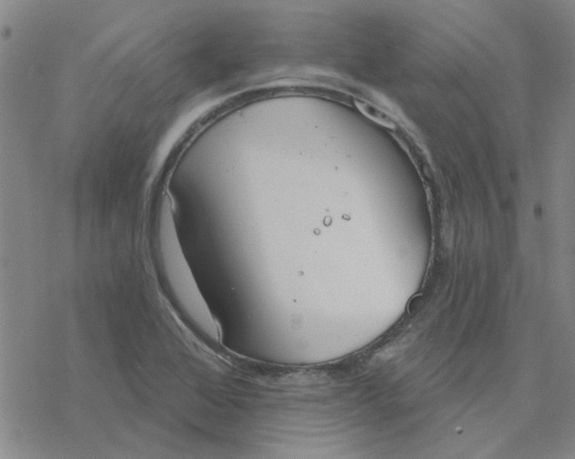 X0000076401368200610271607