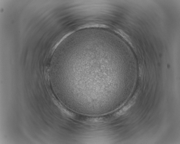 X0000076401369200610271607