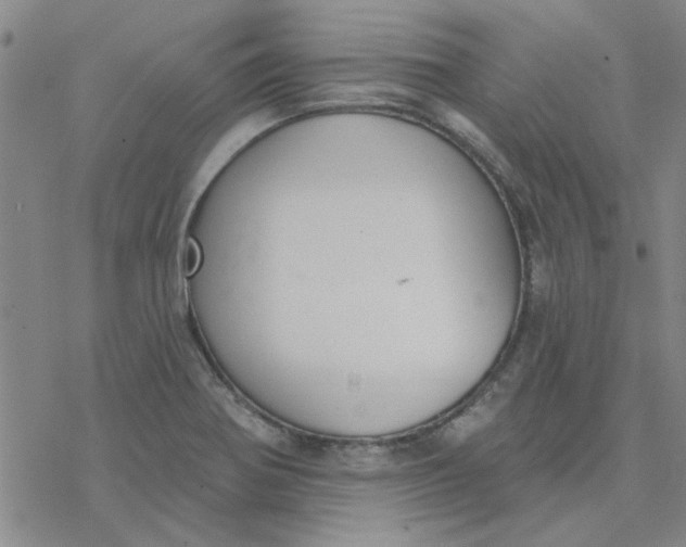 X0000076401370200610271607