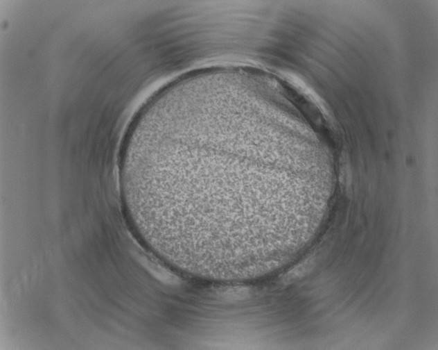 X0000076401372200610271607