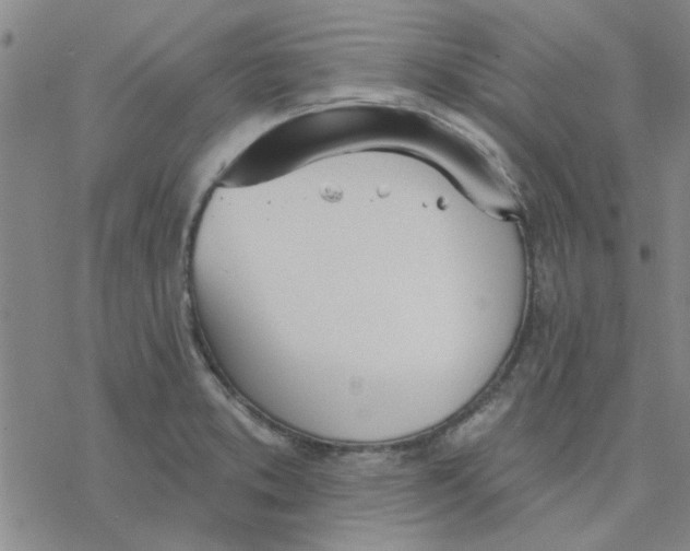 X0000076401373200610271607