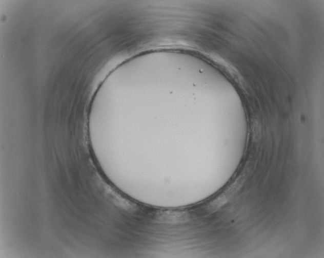 X0000076401374200610271607