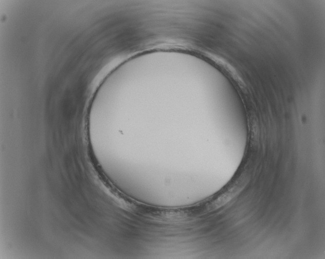 X0000076401375200610271607