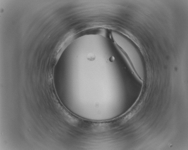 X0000076401377200610271607