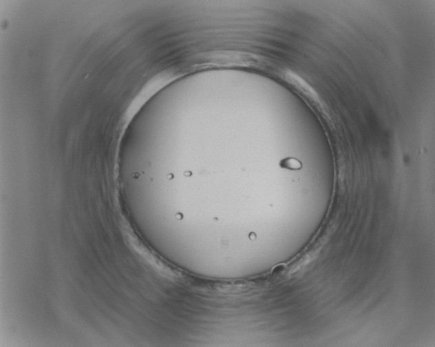 X0000076401378200610271607