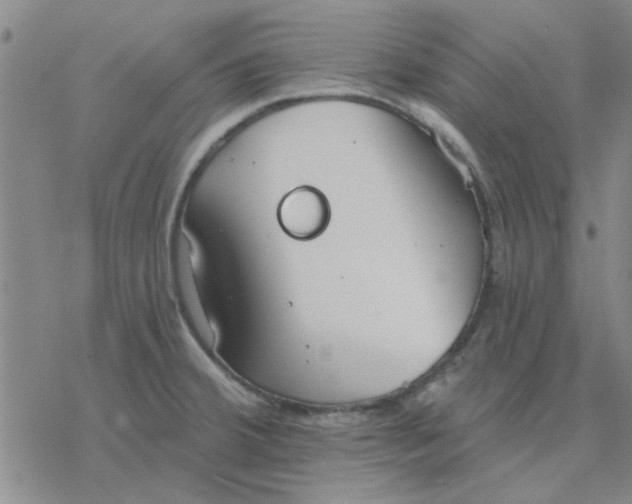 X0000076401380200610271607