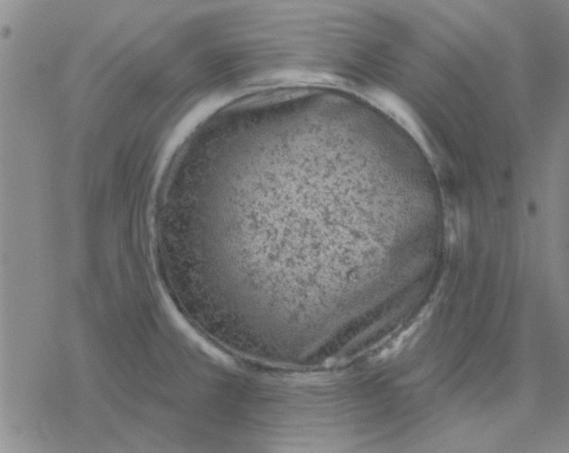 X0000076401381200610271607