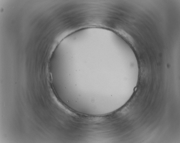 X0000076401382200610271607