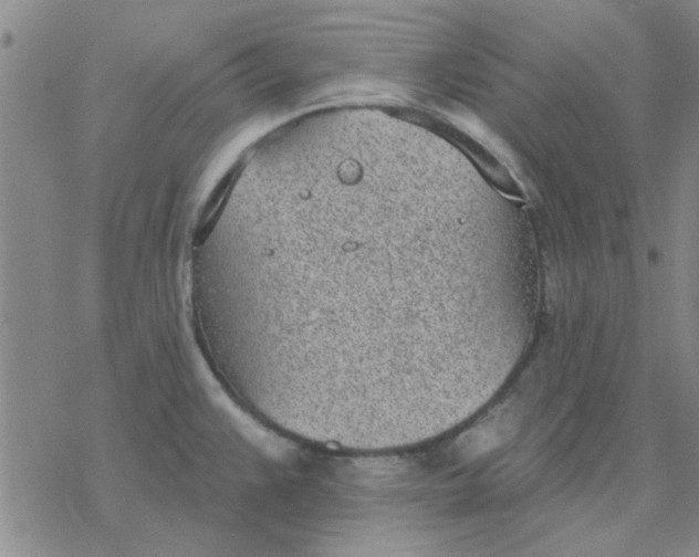 X0000076401383200610271607