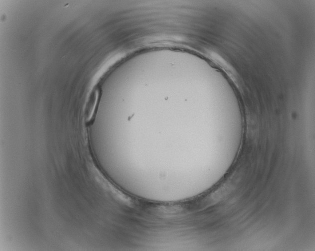 X0000076401384200610271607