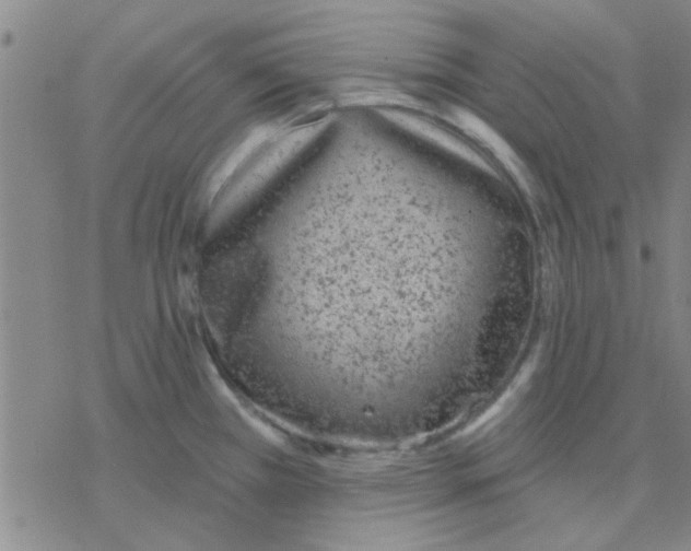 X0000076401385200610271607