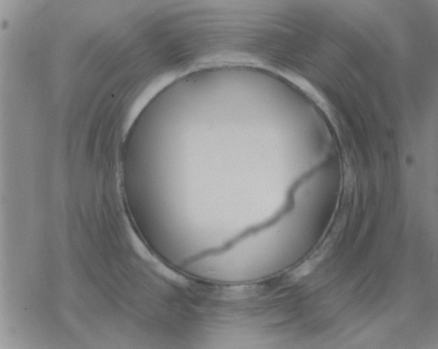 X0000076401390200610271607