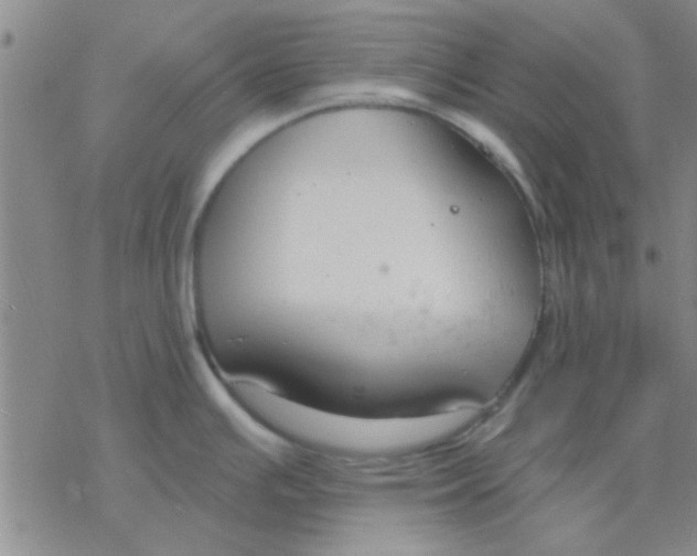 X0000076401391200610271607