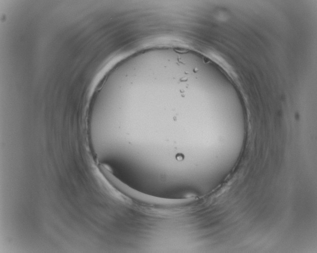 X0000076401392200610271607