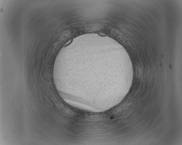 X0000076401393200610271606