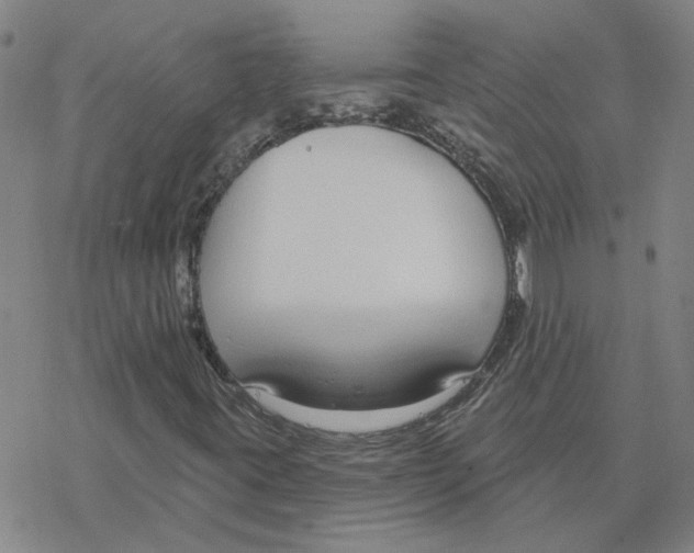 X0000076401395200610271606