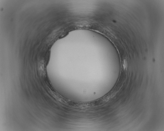 X0000076401396200610271606