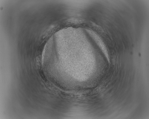 X0000076401397200610271606