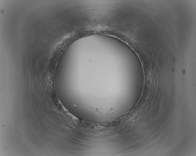 X0000076401398200610271606