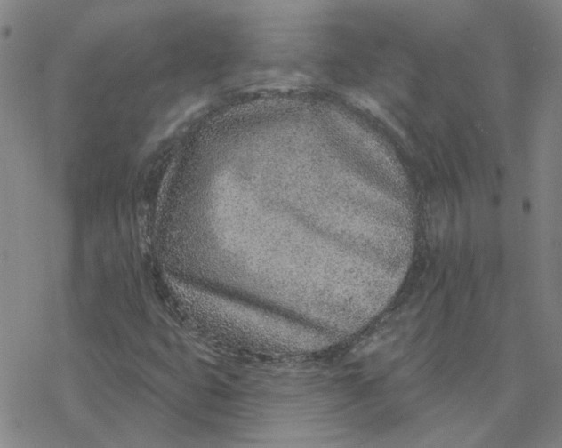 X0000076401399200610271606