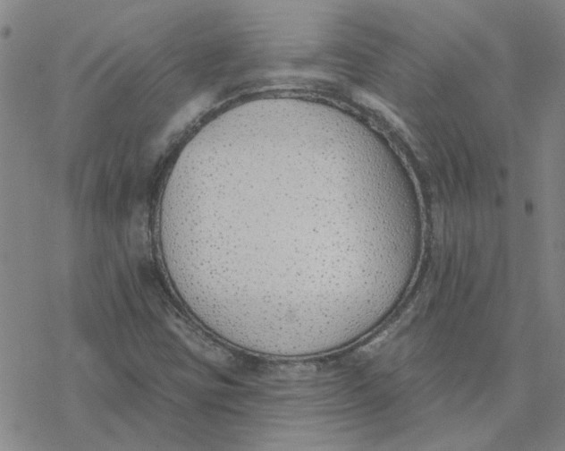 X0000076401403200610271606