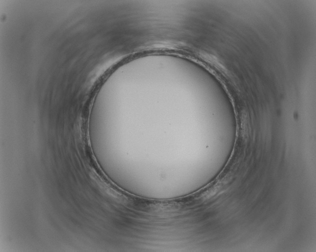 X0000076401404200610271606