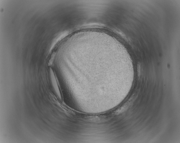 X0000076401405200610271606