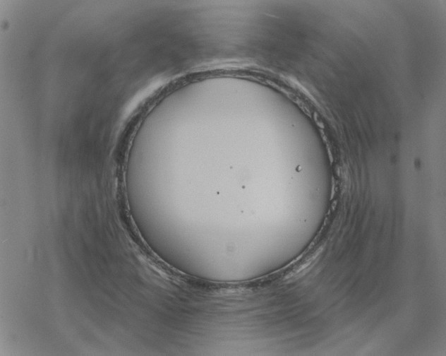 X0000076401406200610271606