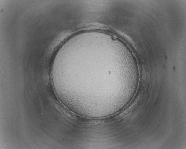 X0000076401407200610271606