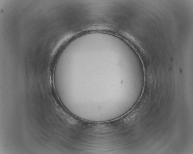 X0000076401408200610271606