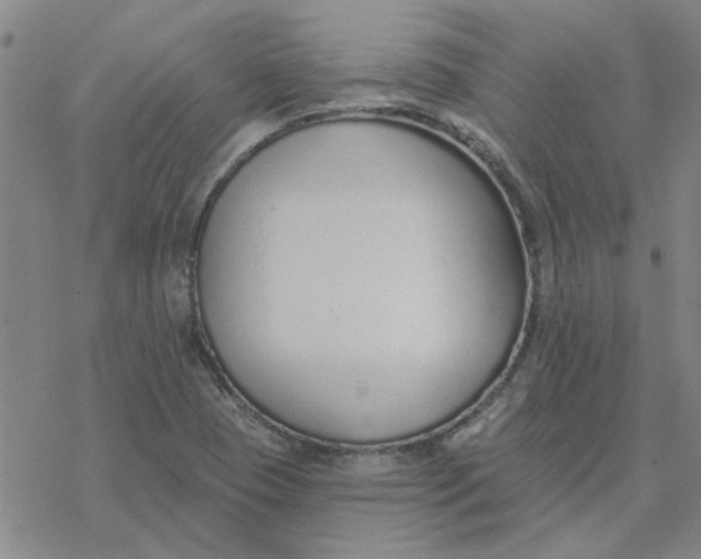 X0000076401409200610271606