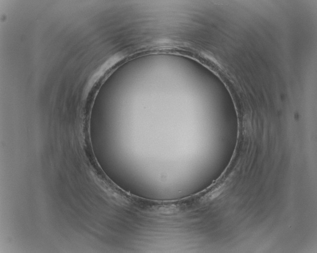 X0000076401410200610271606