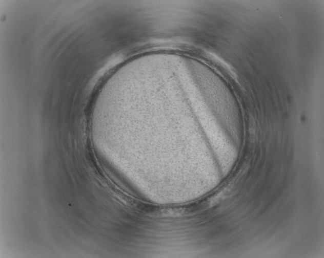 X0000076401411200610271606