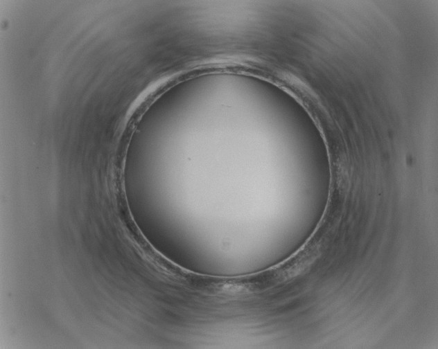 X0000076401412200610271606