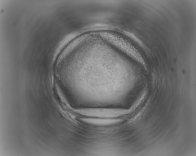 X0000076401413200610271606