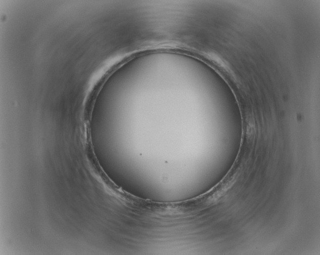 X0000076401414200610271606