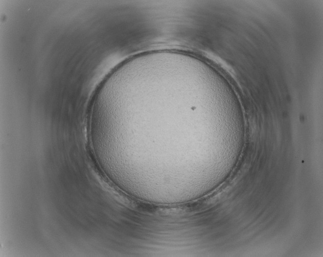 X0000076401415200610271606