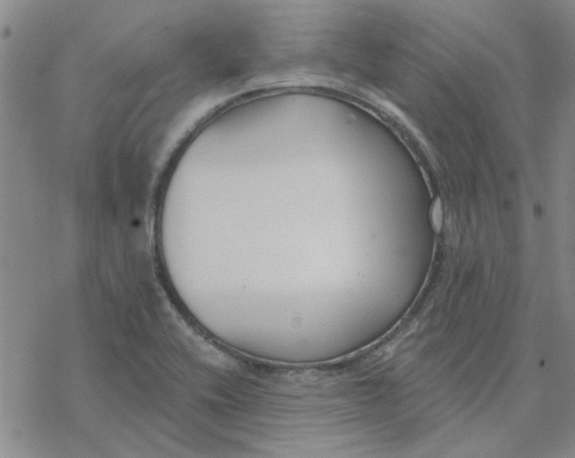 X0000076401416200610271606