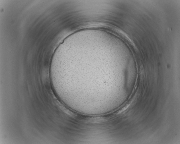 X0000076401417200610271606