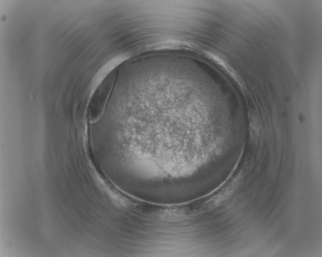 X0000076401418200610271606