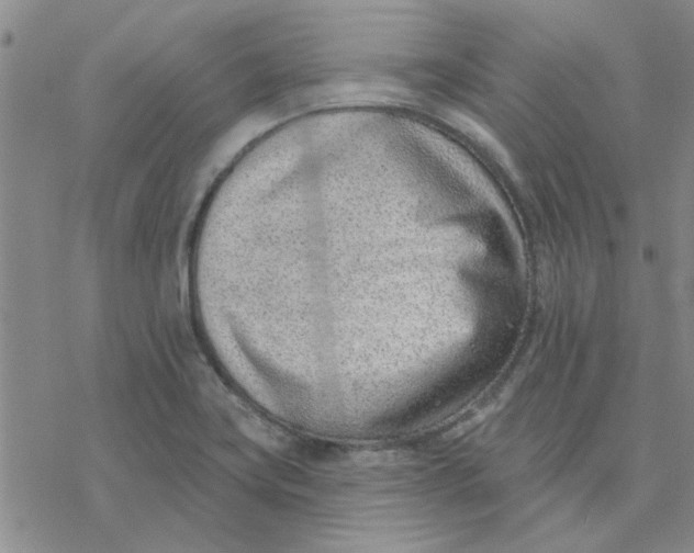 X0000076401419200610271606