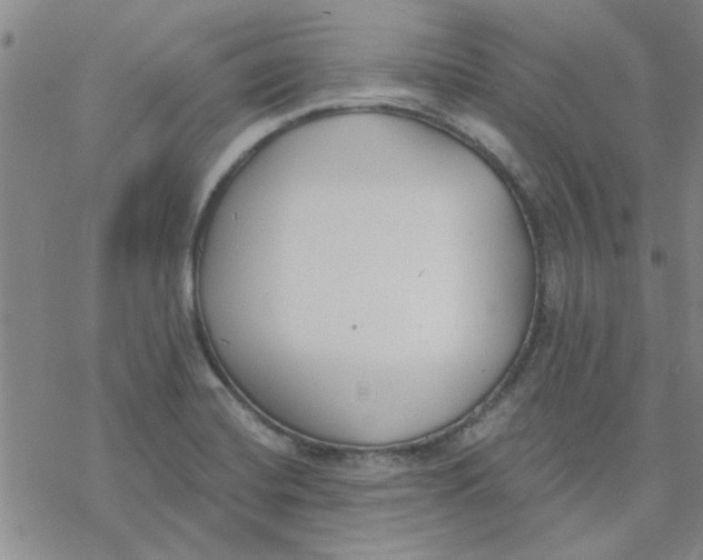 X0000076401420200610271606